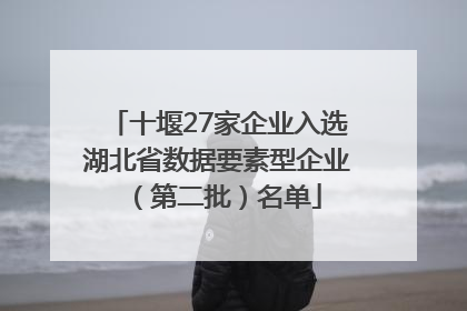 十堰27家企业入选湖北省数据要素型企业（第二批）名单