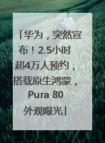 华为，突然宣布！2.5小时超4万人预约，搭载原生鸿蒙，Pura 80外观曝光