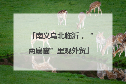 南义乌北临沂，“两扇窗”里观外贸