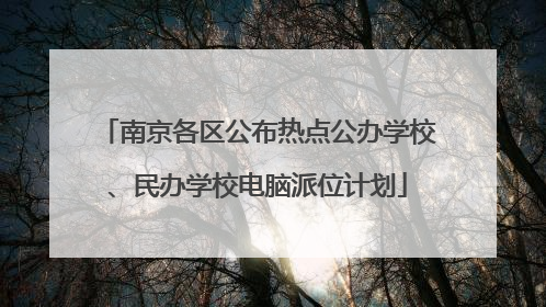 南京各区公布热点公办学校、民办学校电脑派位计划