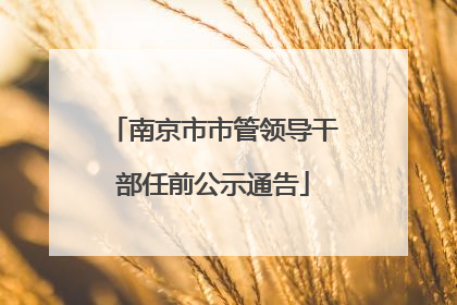 南京市市管领导干部任前公示通告