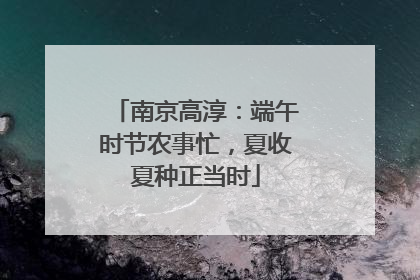 南京高淳：端午时节农事忙，夏收夏种正当时