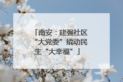 南安：建强社区“大党委”撬动民生“大幸福”