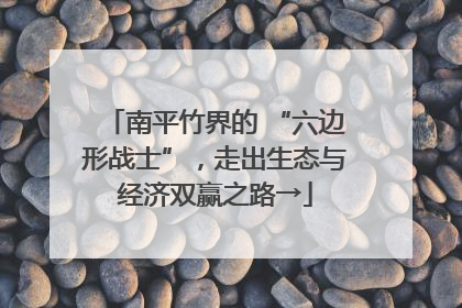 南平竹界的 “六边形战士”，走出生态与经济双赢之路→