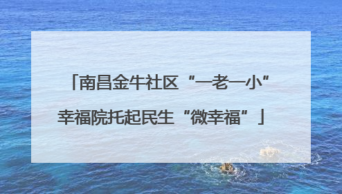 南昌金牛社区“一老一小”幸福院托起民生“微幸福”