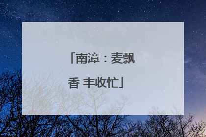 南漳：麦飘香 丰收忙