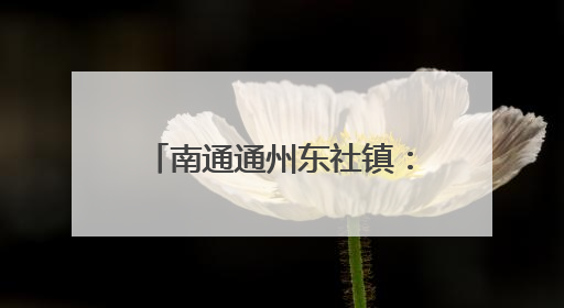 南通通州东社镇：“五一”返乡，党员们“归巢”学习