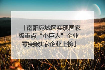 南阳宛城区实现国家级重点“小巨人”企业零突破1家企业上榜