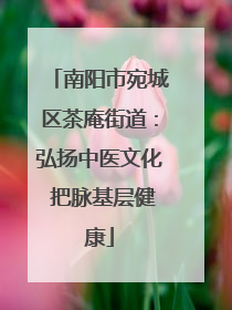 南阳市宛城区茶庵街道：弘扬中医文化 把脉基层健康