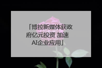 博拉新媒体获政府亿元投资 加速AI企业应用
