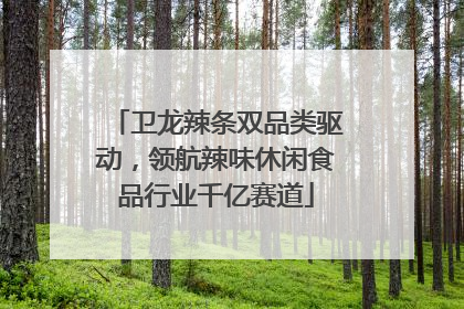 卫龙辣条双品类驱动，领航辣味休闲食品行业千亿赛道