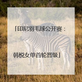 印尼羽毛球公开赛：韩悦女单首轮晋级