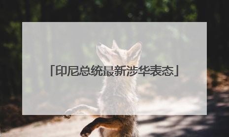 印尼总统最新涉华表态