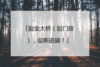 厦金大桥（厦门段），最新进展！
