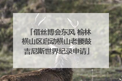 借丝博会东风 榆林横山区启动横山老腰鼓吉尼斯世界纪录申请