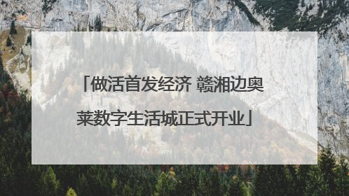 做活首发经济 赣湘边奥莱数字生活城正式开业
