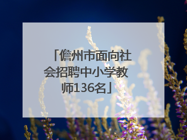 儋州市面向社会招聘中小学教师136名