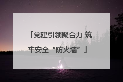 党建引领聚合力 筑牢安全“防火墙”