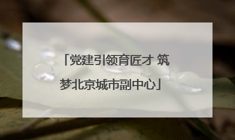 党建引领育匠才 筑梦北京城市副中心