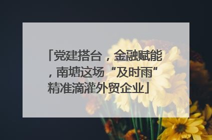 党建搭台，金融赋能，南塘这场“及时雨”精准滴灌外贸企业