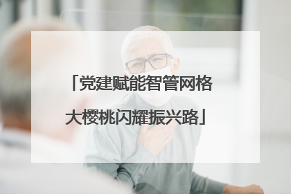 党建赋能智管网格 大樱桃闪耀振兴路