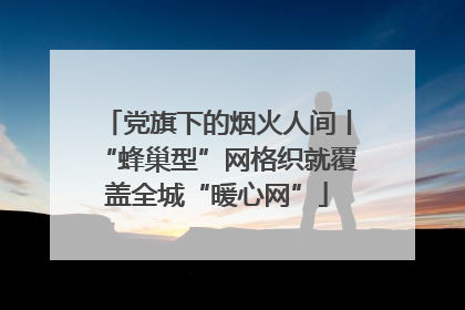 党旗下的烟火人间丨“蜂巢型”网格织就覆盖全城“暖心网”