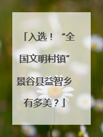 入选！“全国文明村镇”景谷县益智乡有多美？