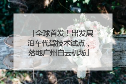 全球首发！出发层泊车代驾技术试点，落地广州白云机场