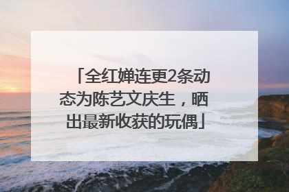全红婵连更2条动态为陈艺文庆生，晒出最新收获的玩偶