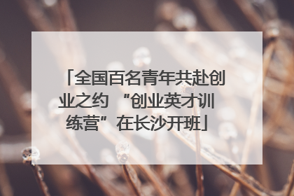 全国百名青年共赴创业之约 “创业英才训练营”在长沙开班