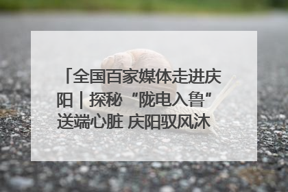 全国百家媒体走进庆阳｜探秘“陇电入鲁”送端心脏 庆阳驭风沐光点亮齐鲁万家