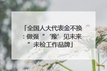 全国人大代表金不换：做强“‘豫’见未来”未检工作品牌