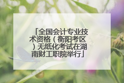 全国会计专业技术资格（衡阳考区）无纸化考试在湖南财工职院举行