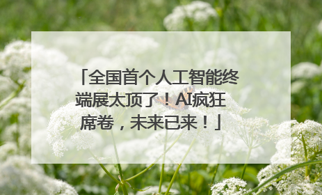 全国首个人工智能终端展太顶了！AI疯狂席卷，未来已来！