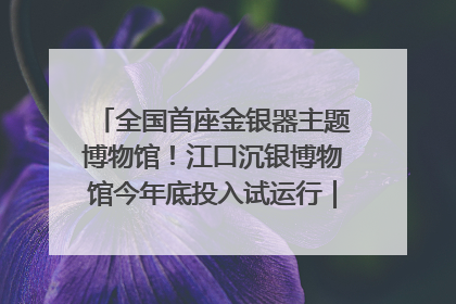 全国首座金银器主题博物馆！江口沉银博物馆今年底投入试运行｜万千气象看四川