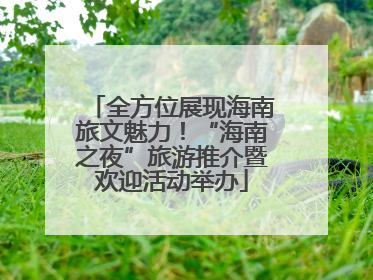 全方位展现海南旅文魅力！“海南之夜”旅游推介暨欢迎活动举办