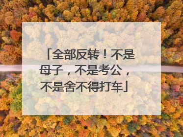 全部反转！不是母子，不是考公，不是舍不得打车