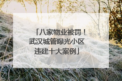八家物业被罚！武汉城管曝光小区违建十大案例