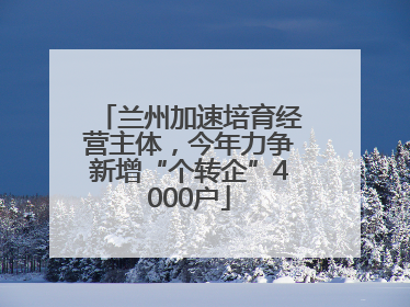 兰州加速培育经营主体，今年力争新增“个转企”4000户