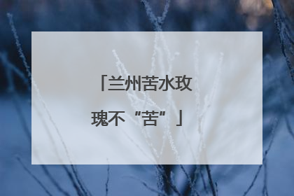 兰州苦水玫瑰不“苦”