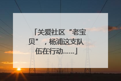 关爱社区“老宝贝”，杨浦这支队伍在行动……