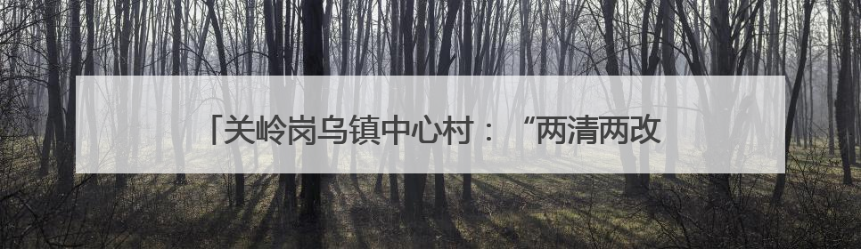关岭岗乌镇中心村：“两清两改两治理”绘就美丽乡村新画卷