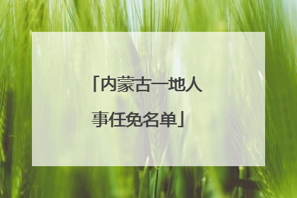 内蒙古一地人事任免名单