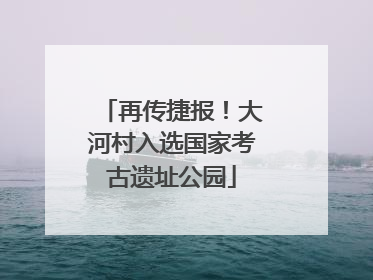 再传捷报！大河村入选国家考古遗址公园