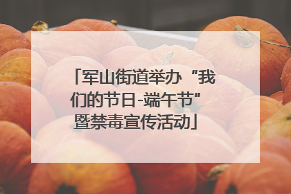 军山街道举办“我们的节日-端午节”暨禁毒宣传活动