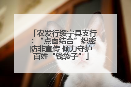 农发行绥宁县支行：“点面结合”织密防非宣传 倾力守护百姓“钱袋子”