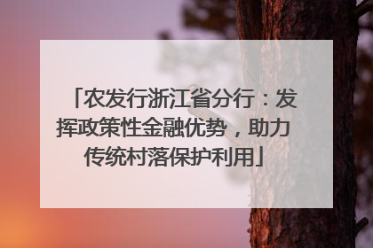 农发行浙江省分行：发挥政策性金融优势，助力传统村落保护利用
