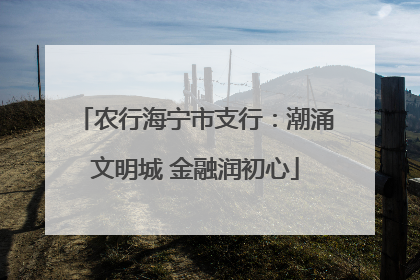 农行海宁市支行：潮涌文明城 金融润初心