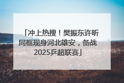 冲上热搜！樊振东许昕同框现身河北雄安，备战2025乒超联赛