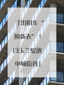 出租车“换新衣”！白玉兰绽放申城街巷